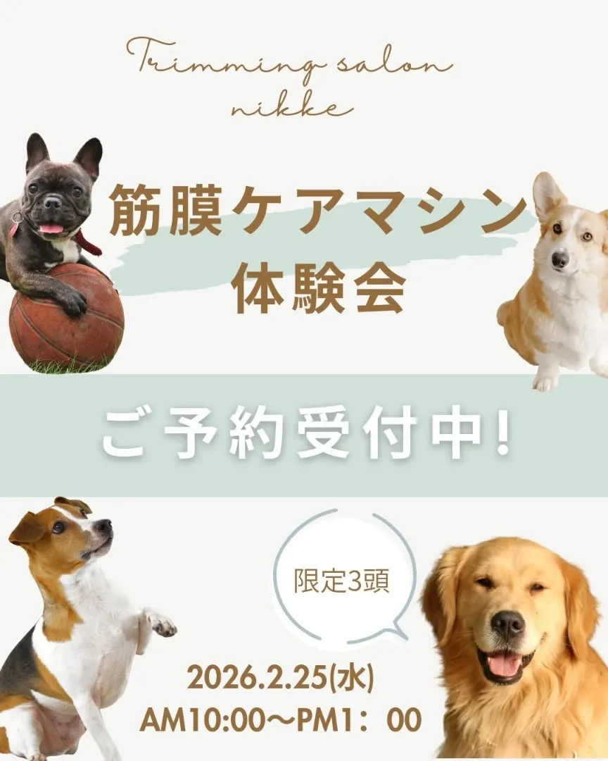 体験会実施のお知らせ📢